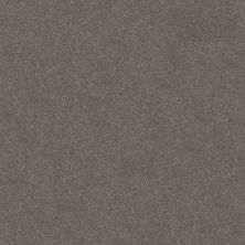 Shaw Floors Roll Special Xy356 Ashes