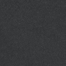 Shaw Floors Roll Special Xy356 Shadow