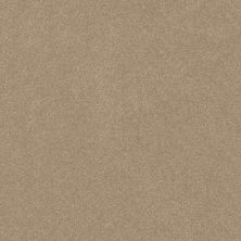 Shaw Floors Roll Special Xy356 Worn Path