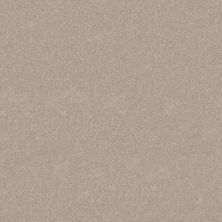 Shaw Floors Roll Special Xy357 Soft Sense