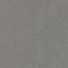 Shaw Floors Roll Special Xy357 Vintage