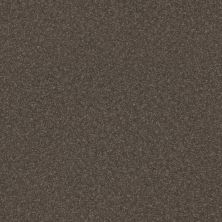 Shaw Floors Roll Special Xy357 Urban Rustic