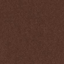 Shaw Floors Roll Special Xy359 Orange Oxide