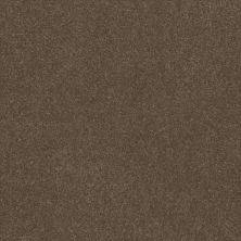 Shaw Floors Roll Special Xy360 Mission Ridge