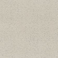 Shaw Floors Roll Special Xy362 Marble