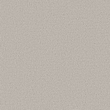 Shaw Floors Roll Special Xy362 Cashmere