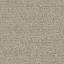 Shaw Floors Roll Special Xy362 Sculpture