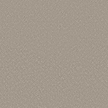 Shaw Floors Roll Special Xy363 Sculpture