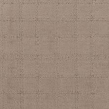 Shaw Floors Roll Special Xy364 Cameo