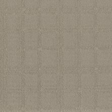 Shaw Floors Roll Special Xy364 Sculpture