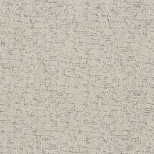 Shaw Floors Roll Special Xy365 Marble