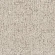 Shaw Floors Roll Special Xy365 Natural