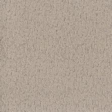 Shaw Floors Roll Special Xy365 Warm Light