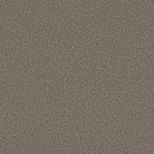 Shaw Floors Roll Special Xy366 Cashmere