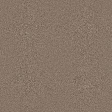 Shaw Floors Roll Special Xy366 Moonwalk