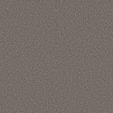 Shaw Floors Roll Special Xy366 Ashes