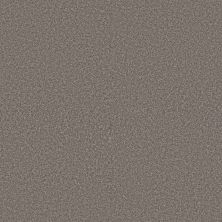 Shaw Floors Roll Special Xy366 Midnight Brown