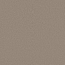 Shaw Floors Roll Special Xy367 Soft Sense