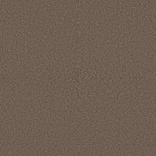 Shaw Floors Roll Special Xy367 Orange Oxide