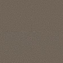 Shaw Floors Roll Special Xy367 Urban Rustic