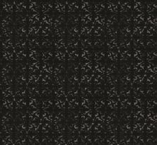 Shaw Floors Roll Special Xy369 Cafe Noir