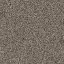 Shaw Floors Simply The Best Xy435 Boulder