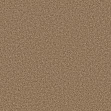 Shaw Floors Simply The Best Xy436 Clay