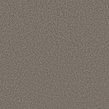 Shaw Floors Roll Special Xy442 Pier