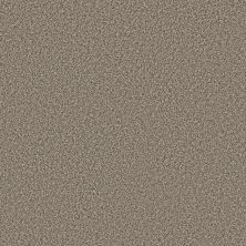 Shaw Floors Roll Special Xy442 Pecan Sandie