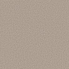 Shaw Floors Roll Special Xy443 Beige Mist