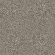 Shaw Floors Roll Special Xy443 Ancient Stone