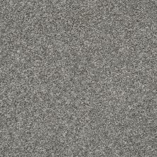 Shaw Floors Value Collections Xz010 Net Sparrow