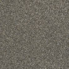 Shaw Floors Value Collections Xz010 Net Granite Dust