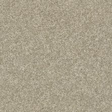 Shaw Floors Value Collections Xz010 Net Latte