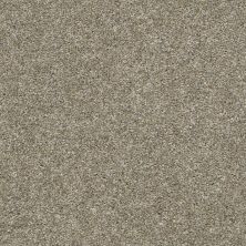 Shaw Floors Value Collections Xz010 Net Weathered