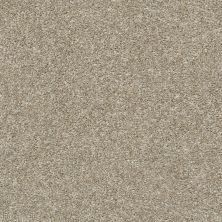 Shaw Floors Value Collections Xz011 Net Raw Wood