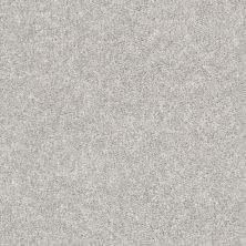Shaw Floors Value Collections Xz011 Net Dove