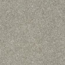 Shaw Floors Value Collections Xz011 Net London Fog