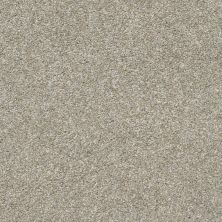Shaw Floors Value Collections Xz011 Net Misty Harbor