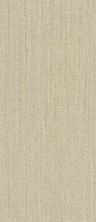 Shaw Floors Value Collections Xz013 Net Almond