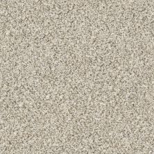 Shaw Floors Value Collections Xz014 Net Goose Feather 00101_XZ014