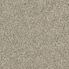 Shaw Floors Value Collections Xz014 Net River Rock 00701_XZ014