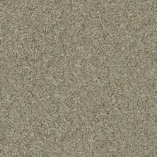 Shaw Floors Value Collections Xz014 Net Tree House