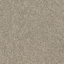 Shaw Floors Value Collections Xz015 Net River Rock 00701_XZ015