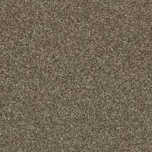 Shaw Floors Value Collections Xz019 Net Roasted Coffee 00721_XZ019