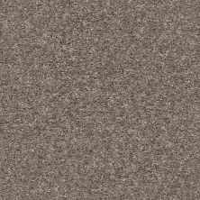 Shaw Floors Value Collections Xz020 Net Mountain Top 00511_XZ020