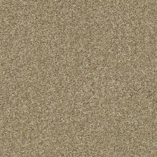Shaw Floors Roll Special Xz041 Dried Clay 00137_XZ041