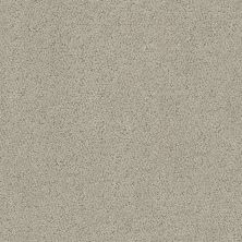 Shaw Floors Roll Special Xz044 Natural Stone 00106_XZ044