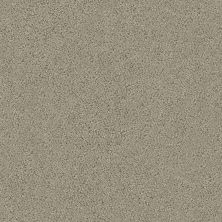 Shaw Floors Roll Special Xz044 Artisan Taupe 00700_XZ044