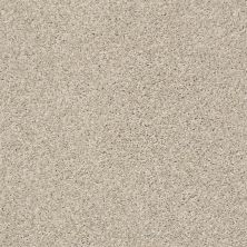 Shaw Floors Roll Special Xz046 Antique White 00110_XZ046